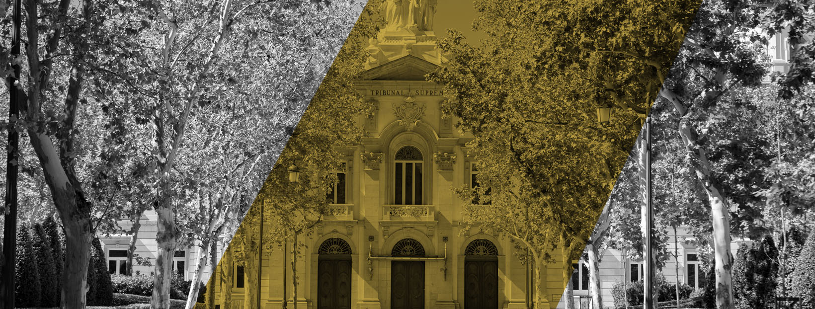 Tribunal Supremo Madrid.